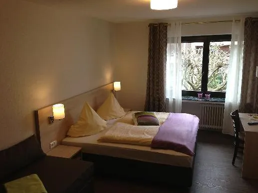 招待所 德特米尔酒店 3*